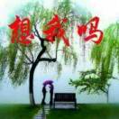 聂先生