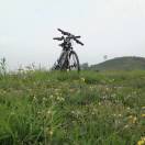 雲淡風輕