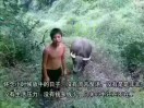全球村