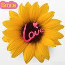 Amy🌼🍀🌸🌱🌺🍁