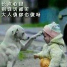 A香烟和金币