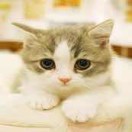 真