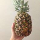 💩🕙1⃣️@🇬🇧_我拉网制作gif