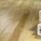 userName