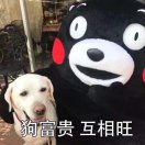 userName