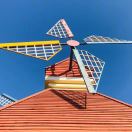 山东师范大学|宋杰