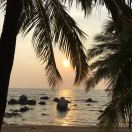 陈晨