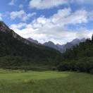 陈建民