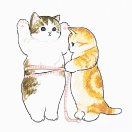 TK也有小情绪
