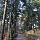王登才