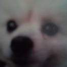 李嘉