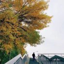 王涛
