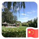 葛晓辉