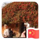 黄宇
