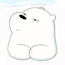 ice bear