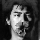 小蓝羽「Joe」