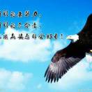 用户评价