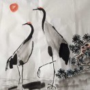 孙毅