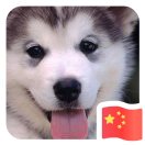汪文超