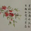 杨永军