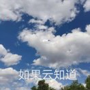 如果云知道