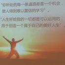 问题回答，答主，回答者