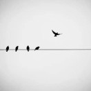 余問