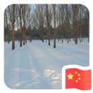 王安春