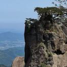 陈大川