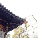 陈翔