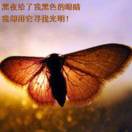 范福锋