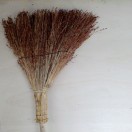 木公
