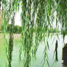 *中意家具华池连