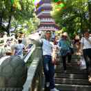 大昌铝材  18174445252