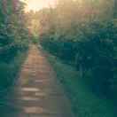 左手倒影，右手年华