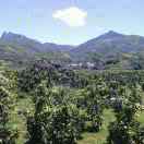 男儿当自强52561