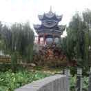 专业粘贴墙地砖