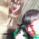 添仔仔 