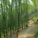 李尚志＜生产二科＞