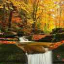 万物努力复苏，望春止步归去