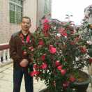 刀王（陈建林）