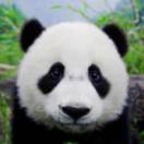 點(diǎn)我