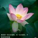 武晓晖