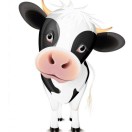 新洲花湖鲜奶小周