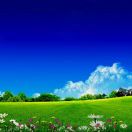 侯锡斌云淡风轻