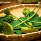 志力~啊荣