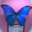 一冰的头像
