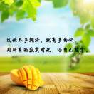 ...終身...成長(zhǎng)...