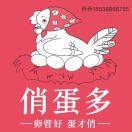 乔乔