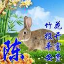 一丛花令
